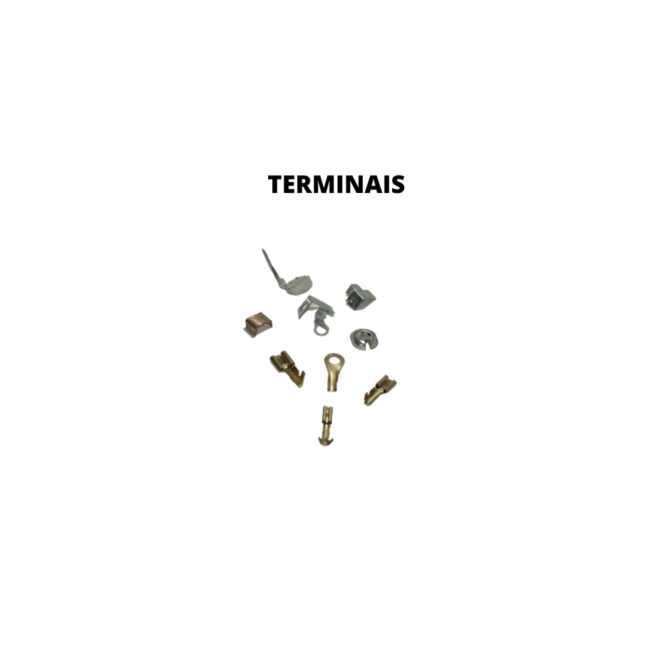 terminais